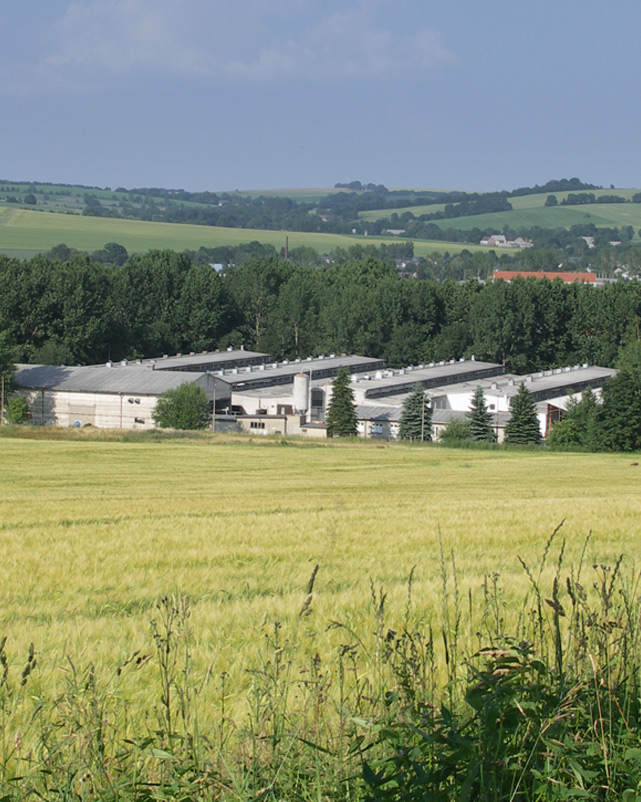 Jungtieranlage in Eppendorf