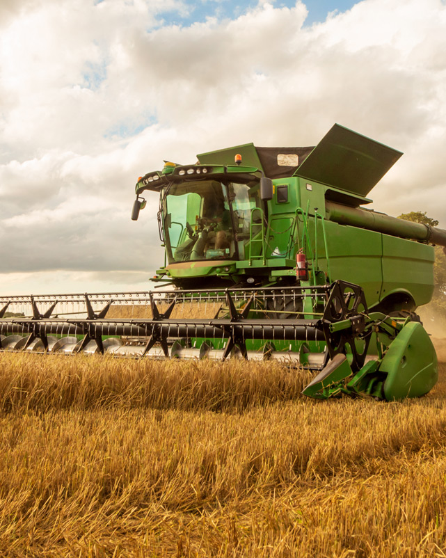 Mähdrescher bei der Ernte auf einem Feld.