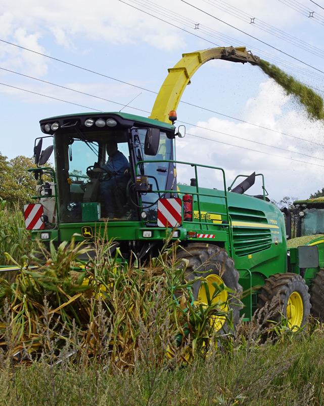 Feldhäcksler John Deere bei der Maisernte